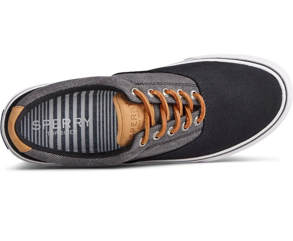 SPERRY Mens Striper II CVO Waxy Canvas Sneaker